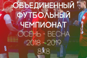 Чемпионат Осень-Весна 8х8 (СПБ)  2018/2019