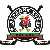 Федерация хоккея Казани