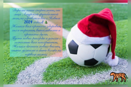 Уважаемые спортсмены и любители футбола! От лица АФЛ, поздравляем Вас с Новым 2024 годом!