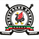 Федерация хоккея Казани
