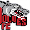 FC Wolfes