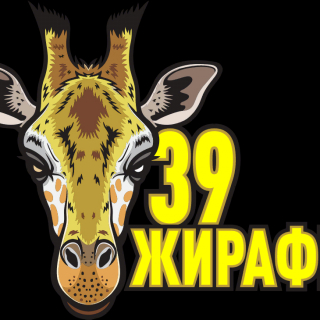 Жирафы 39