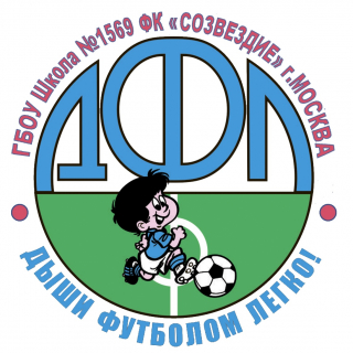 ДФЛ Созвездие (2007-2008)