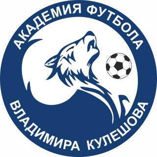 Академия футбола Владимира Кулешова-2008
