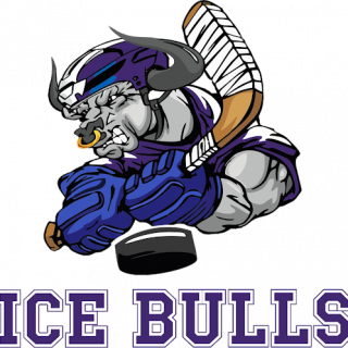 ХК Ice Bulls C