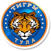 Тигры Тула 2013-1