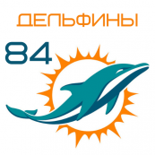 Дельфины 84