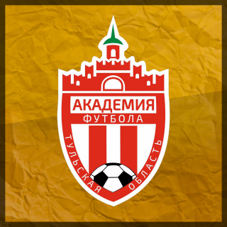 Академия Футбола Тульской обл. 2012