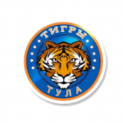 Тигры Тула 2012-2