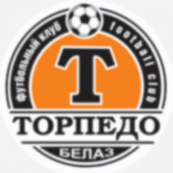 ФК Торпедо-Белаз Жодино 2014