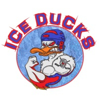 Ice Ducks
