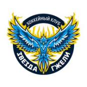 Звезда Гжели 2010/2011