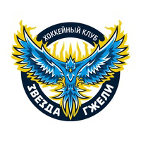 Звезда Гжели 2016-2017