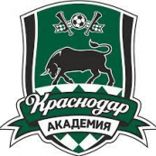 Академия Краснодар 2013