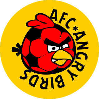 AFC Angry Birds