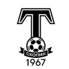 ФК Торпедо Скопин