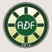 ADF BI PROFIT 2008-2009