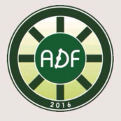 ADF BI PROFIT 2014
