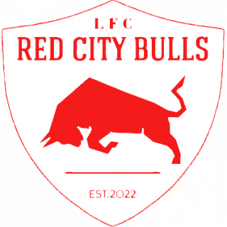Red City Bulls (г. Йошкар-Ола)