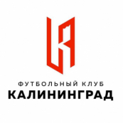 ФК Калининград 2014