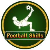 Football Skills-2012 (Кемерово) (оранжевые)