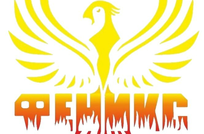 Общество феникс. Эмблема отряда Феникс. Название команды Феникс. Логотипы для команды Phoenix. Феникс девиз.