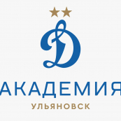 Академия «Динамо» (2013)