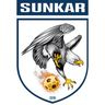 Сункар 2010 - 2011