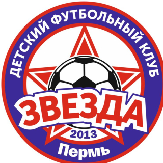 ДФК Звезда-2013 г.Пермь