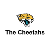 The Cheetahs