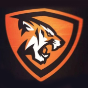Тигры 2016