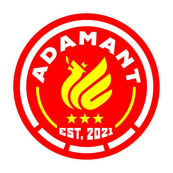 ADAMANT - 2 (2010) 