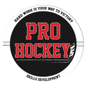 Pro Hockey 2018