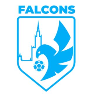 Moscow Falcons