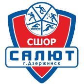 «Салют-2010» Дзержинск