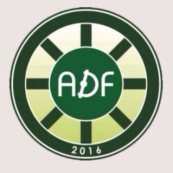 ADF BI PROFIT 2010