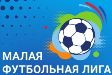 «Малая Футбольная Лига » 2016 г.р. сезон 2024 года 