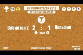 25 РКЛФ Бронзовый Кубок Сибинтек 2-Дельфин 2:1