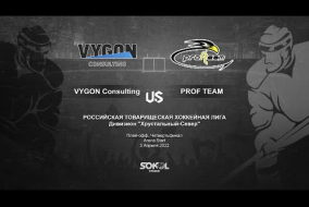 VYGON Consulting - : - Prof Team