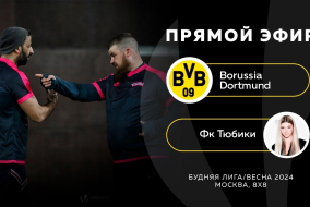 Borussia Dortmund-:-Фк Тюбики